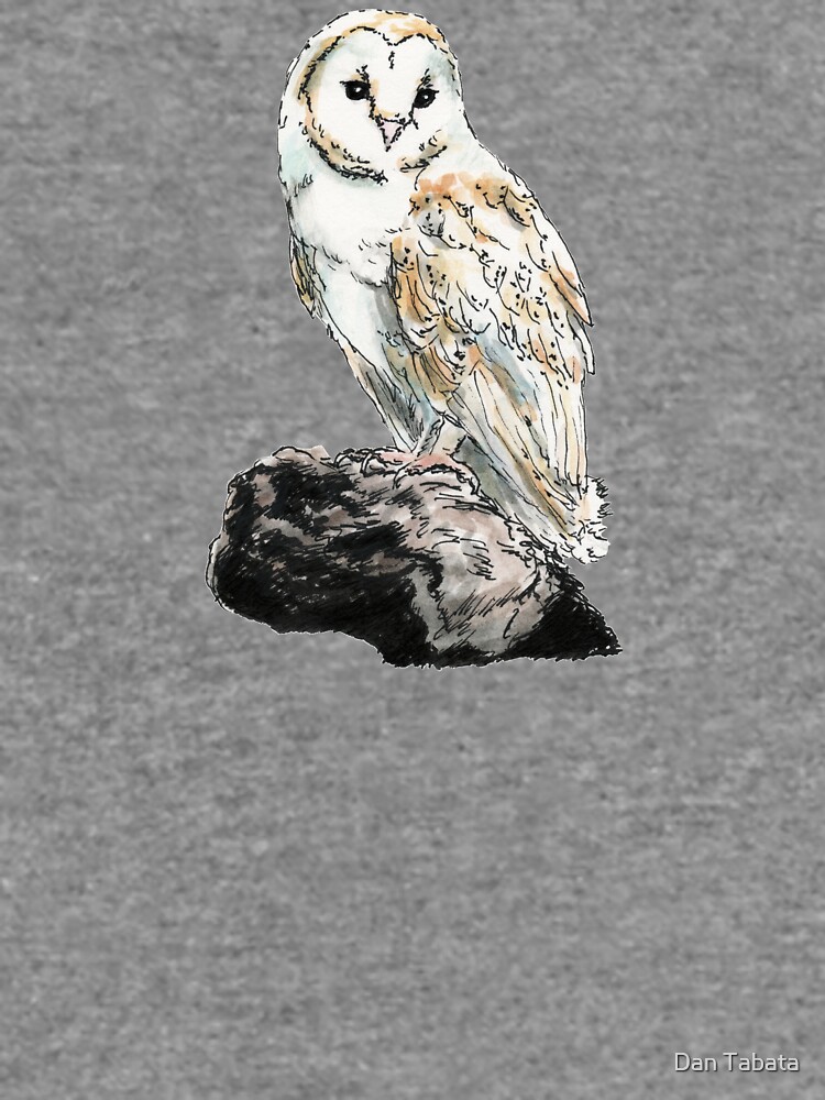 Barn Owl by dmtab