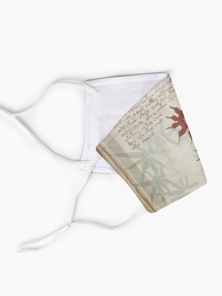 Alternate view of Voynich Manuscript. Illustrated codex hand-written in an unknown writing system Mask
