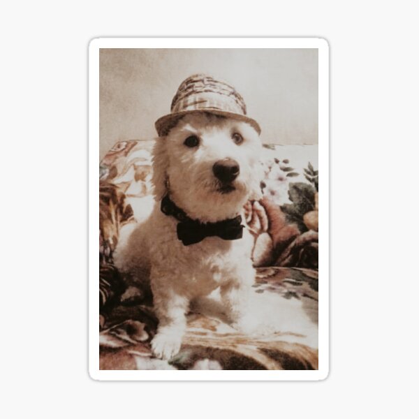 Proper Pup Sticker