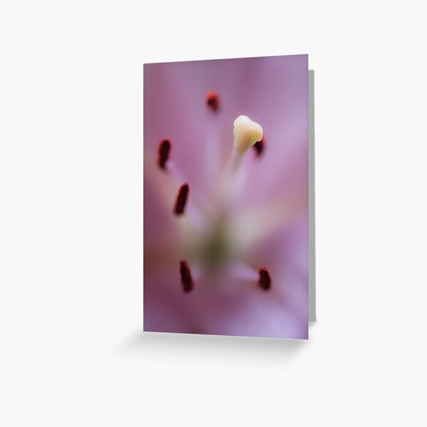 Item preview, Divine pleasure of life  designed and sold by Nina  Matthews Photography.