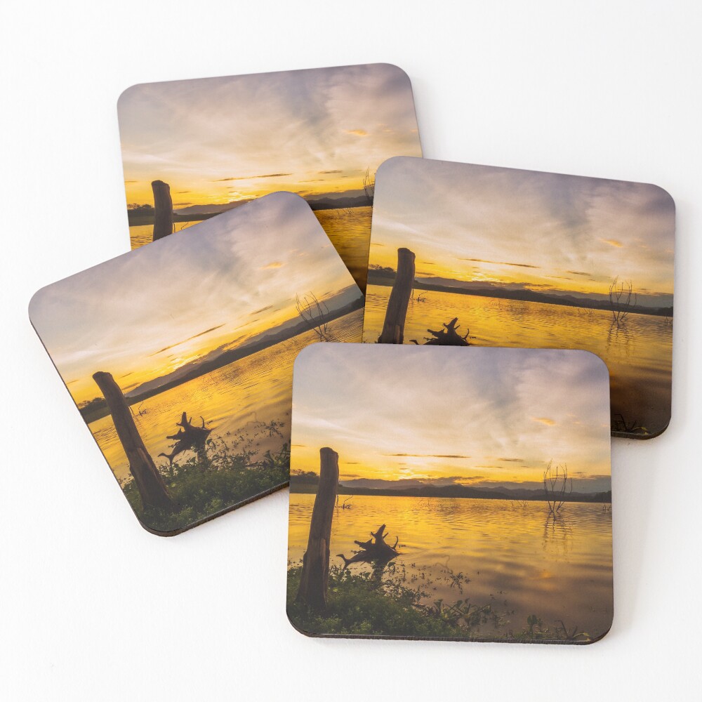 Item preview, Coasters (Set of 4) designed and sold by pyr0.