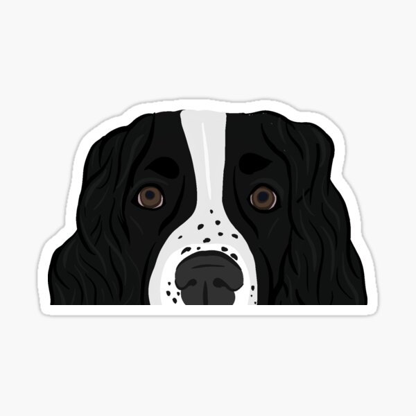 Springer Spaniel Mom Gifts Merchandise Redbubble