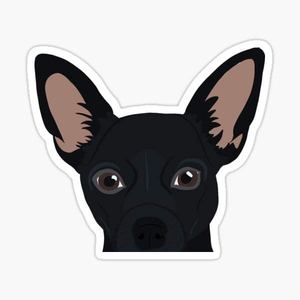 Item preview, Curious Black Chihuahua designed and sold by kherrin.