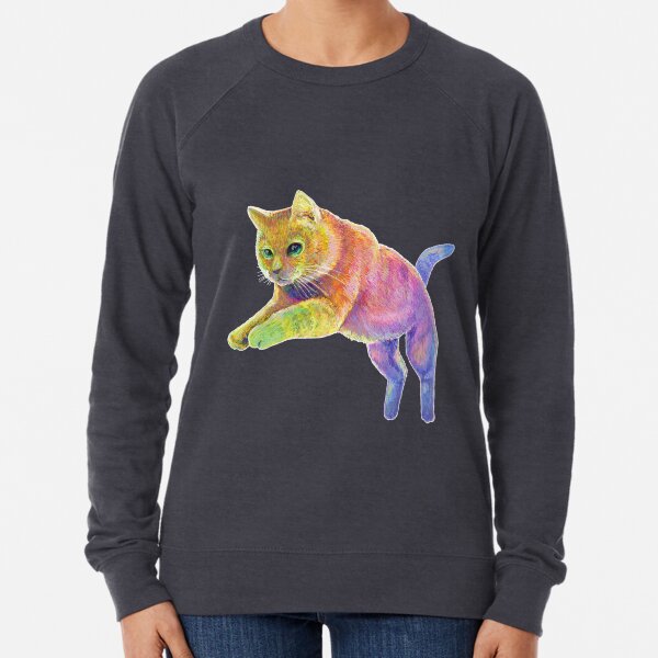 Illuminati rainbow clearance refraction hoodie