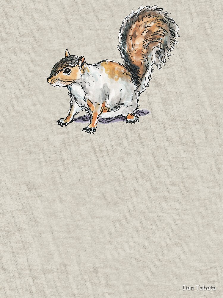 Ready, Set, Squirrel! by dmtab