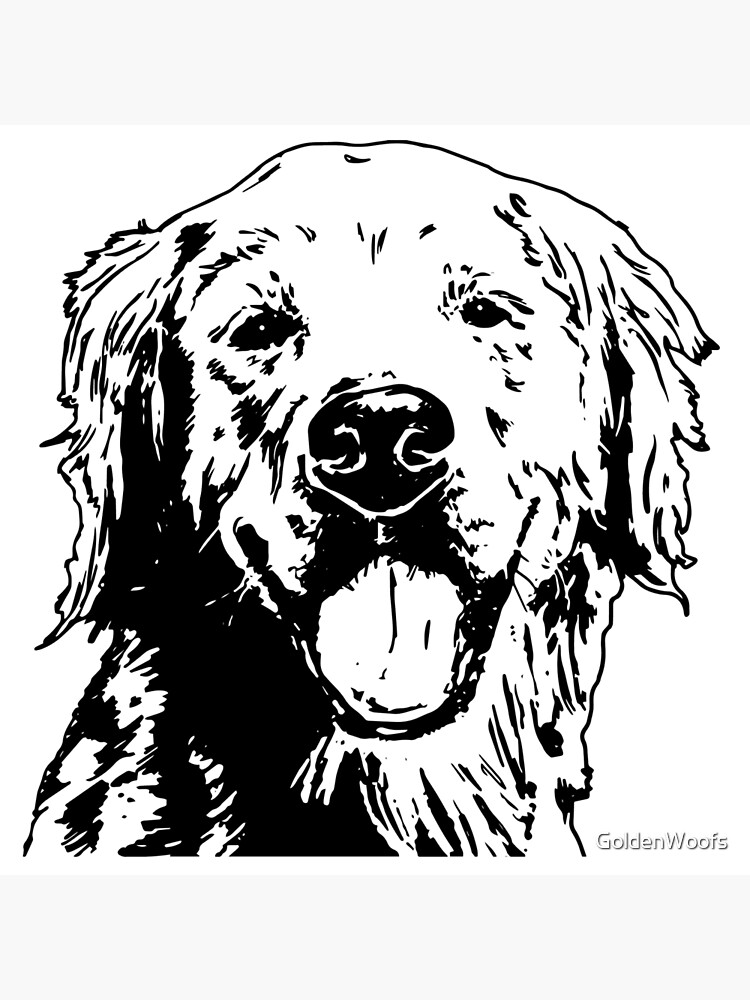 Golden Retriever Face Black White Art Board Print