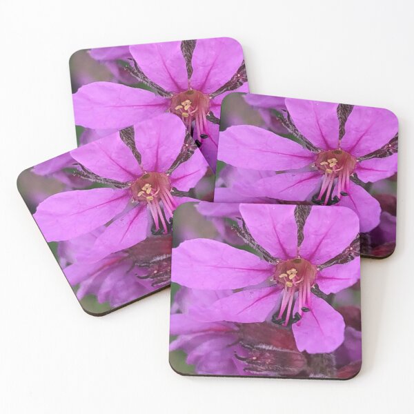 Item preview, Purple Loosestrife Invasive Flower designed and sold by Kaushal Pal.
