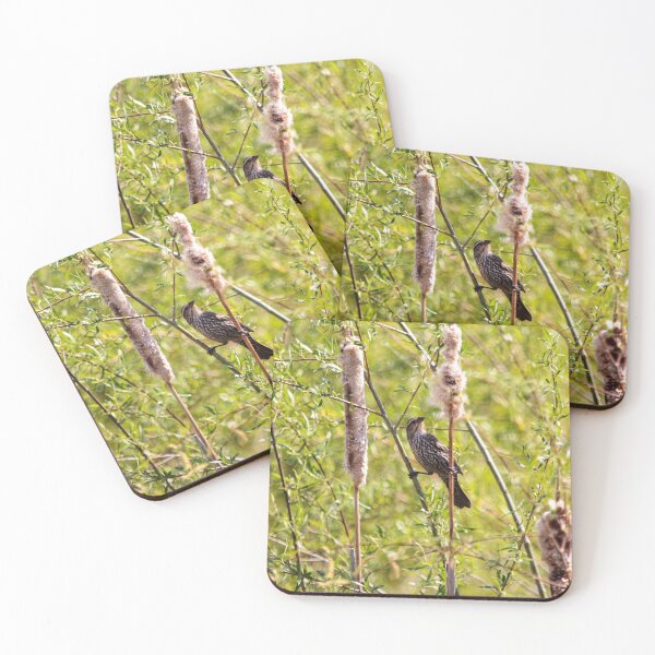 Item preview, Song Sparrow On Cattail designed and sold by RickPics.