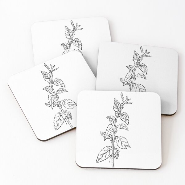 Item preview,  Urtica dioica (Stinging Nettle)  designed and sold by mjstormes.
