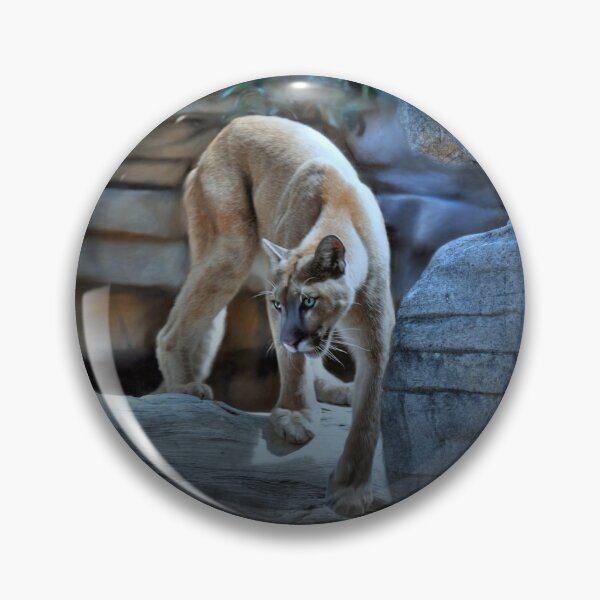 Item preview, Focus like a Cougar designed and sold by Savannah Gibbs.