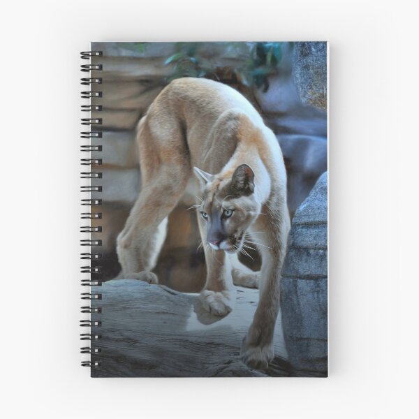 Item preview, Focus like a Cougar designed and sold by Savannah Gibbs.