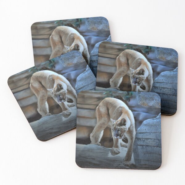 Item preview, Focus like a Cougar designed and sold by Savannah Gibbs.