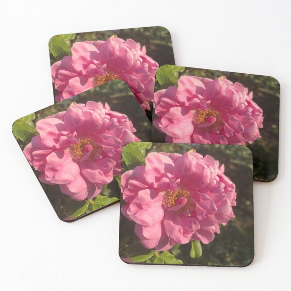 Item preview, Wild Pink Rose Blossom   designed and sold by Kaushal Pal.