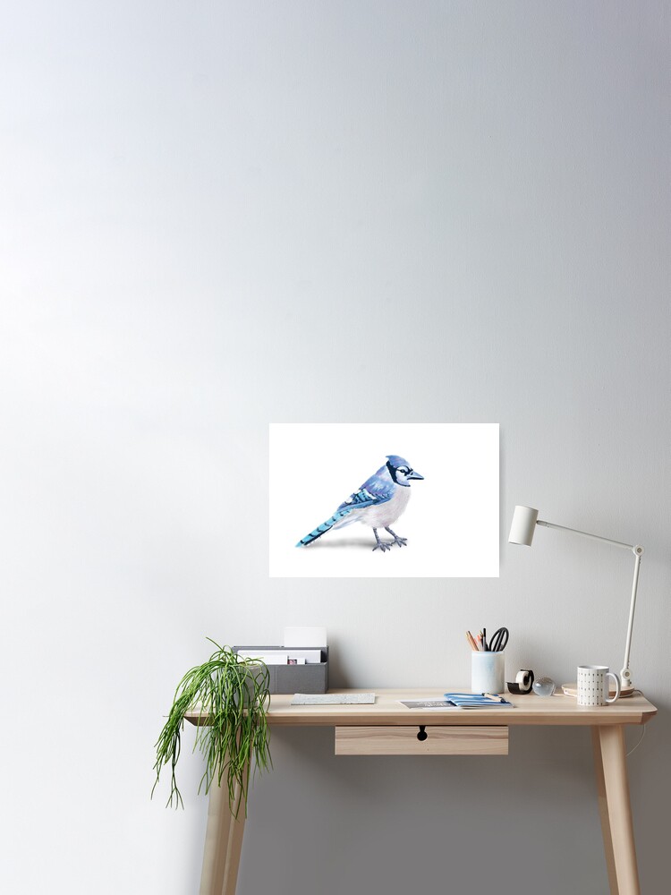 A beautiful Blue Jay bird' Poster by Sloka