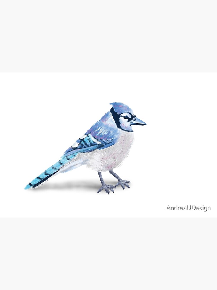 Bluejay Drawing Poster for Sale by corinthiansgirl