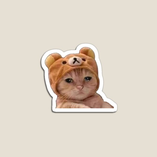 Sad cat hours Magnet