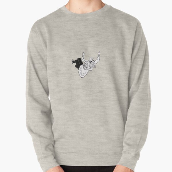 Ceiling Boy Pullover Sweatshirt