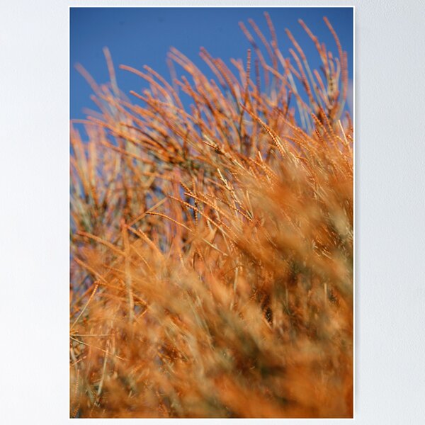 Item preview, Naturalness designed and sold by Nina  Matthews Photography.