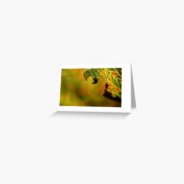 Item preview, Gifted  designed and sold by Nina  Matthews Photography.