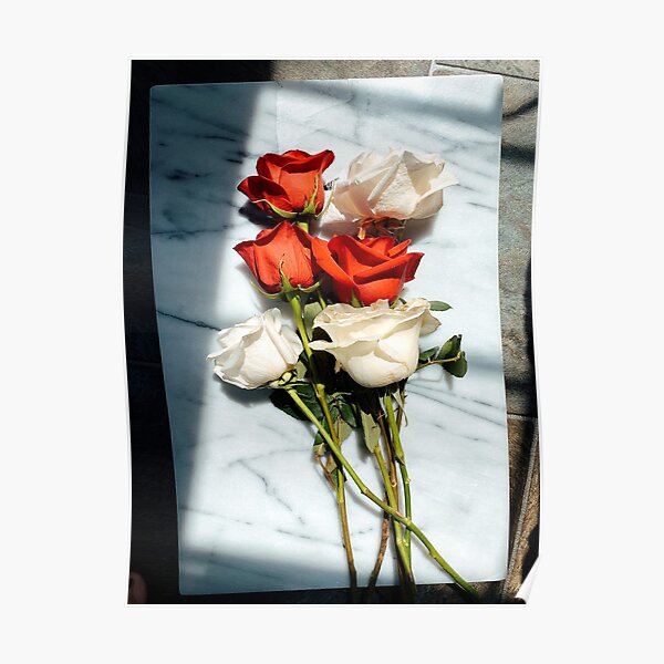 Póster «rosas romanticas» de newburyboutique | Redbubble