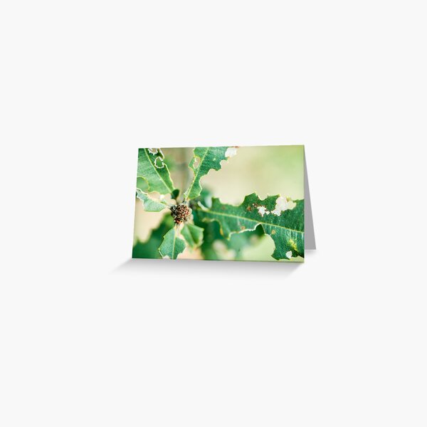 Item preview, Stimulating ............... designed and sold by Nina  Matthews Photography.