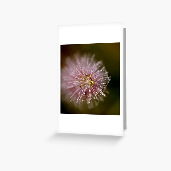 Rare............ Greeting Card