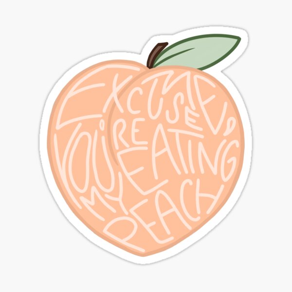 Peach Disco Ball Sticker Pack — Not Sorry Art