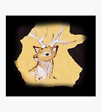 stag Photographic Print