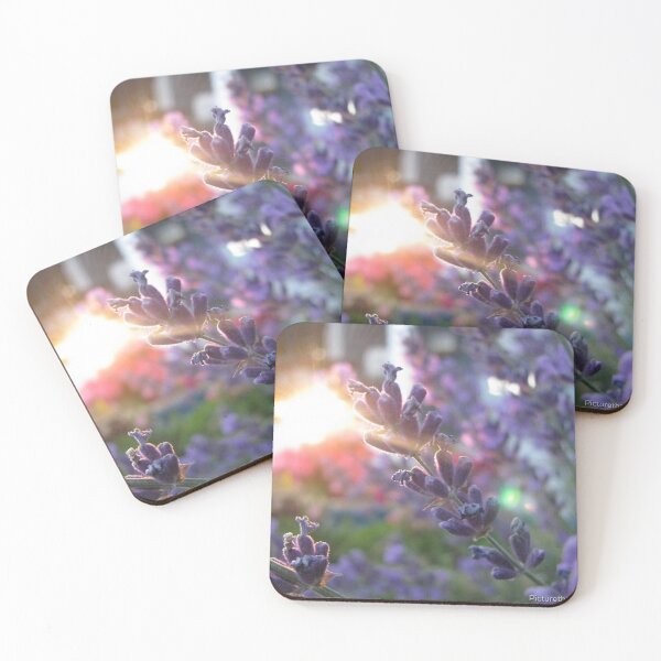 Item preview, Lavender Bush designed and sold by Picturethat1.