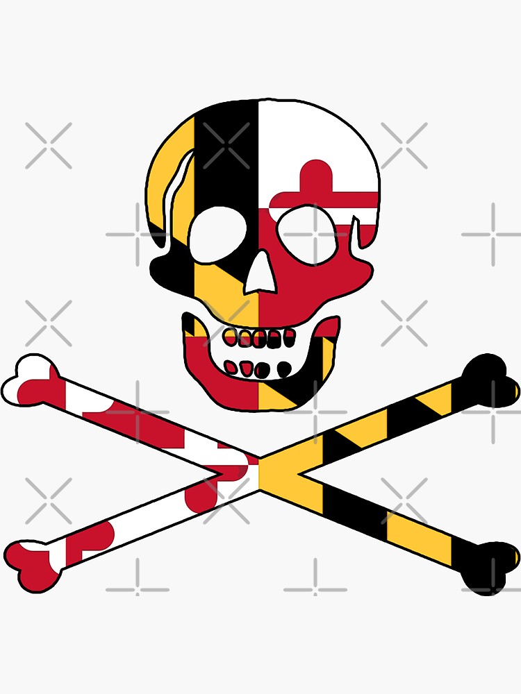  The Pirate Bay Logo Flag Crossbones Skull T-Shirt : Clothing,  Shoes & Jewelry