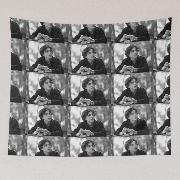 Item preview, Timothee Chalamet - Kyle - Lady Bird designed and sold by cinema-i-guess.