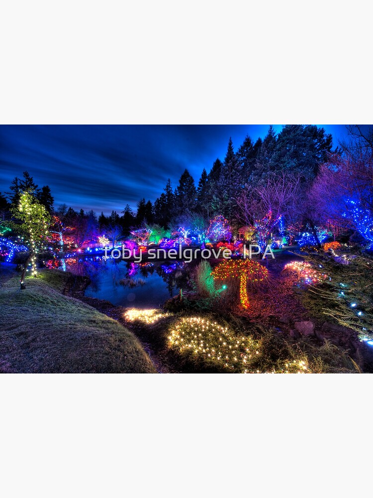 Japanese Garden Christmas Lights, Mayne Island, BC, 2013 by tobysnelgrove