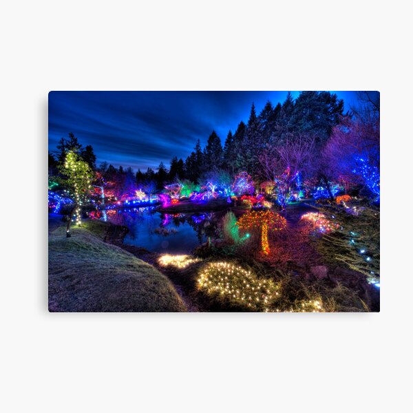 Japanese Garden Christmas Lights, Mayne Island, BC, 2013 Canvas Print