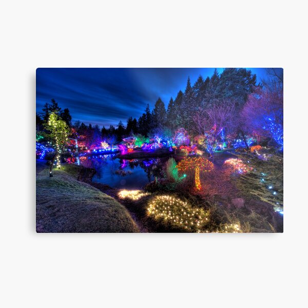 Japanese Garden Christmas Lights, Mayne Island, BC, 2013 Metal Print