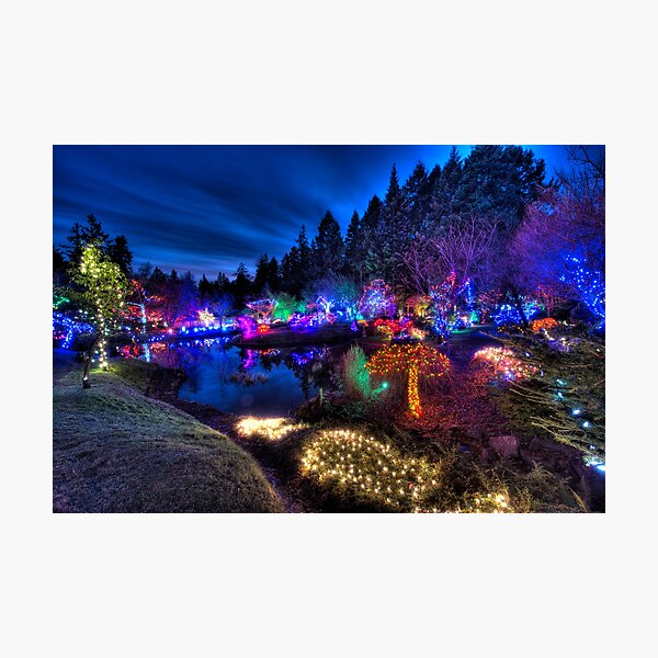 Japanese Garden Christmas Lights, Mayne Island, BC, 2013 Photographic Print