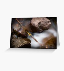 Motionless Greeting Card
