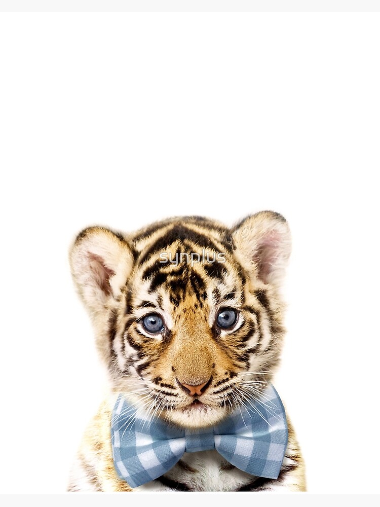 Impression Rigide Bebe Tigre Avec Nœud Papillon Impression D Art Bebe Animaux Par Synplus Par Synplus Redbubble