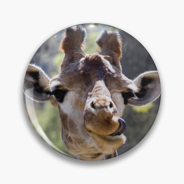 Item preview, Funny Giraffe Licking Her Face Photo designed and sold by TallOne-apparel.