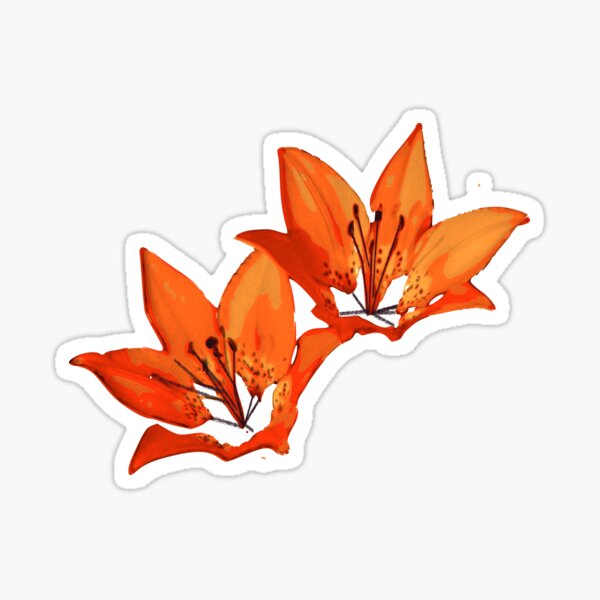 Hand drawn Tigerlilies pairs Sticker