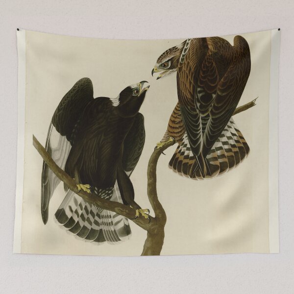 Item preview, 422 Rough legged Falcon designed and sold by Bird-Lore.