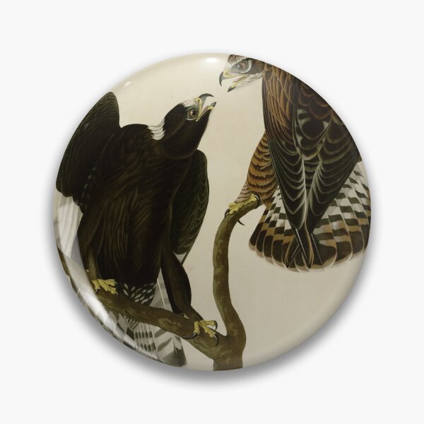 Item preview, 422 Rough legged Falcon designed and sold by Bird-Lore.