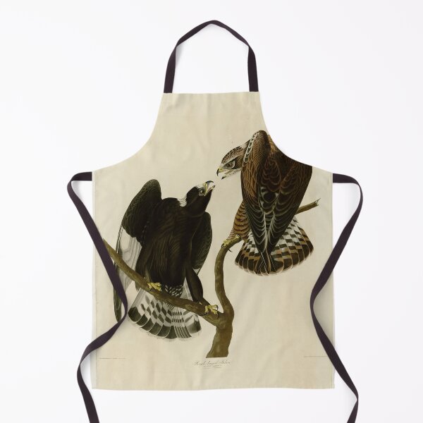 Item preview, 422 Rough legged Falcon designed and sold by Bird-Lore.