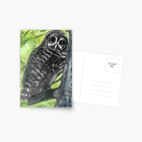 Owl Who Visits Postcard