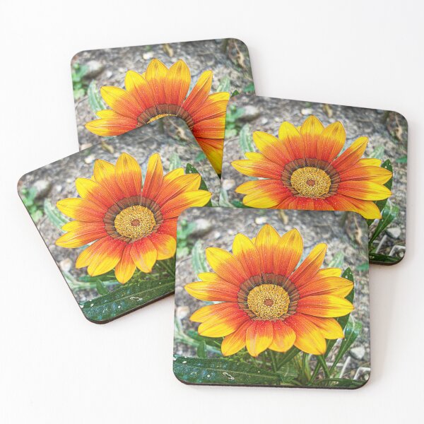 Item preview, African Daisy designed and sold by Maria  Gonzalez.