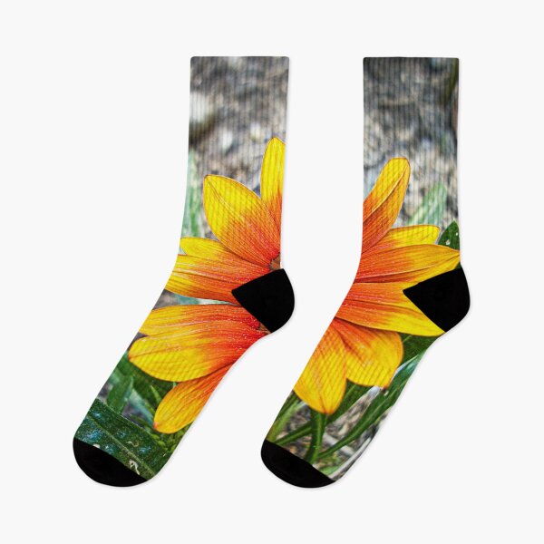 Item preview, African Daisy designed and sold by Maria  Gonzalez.