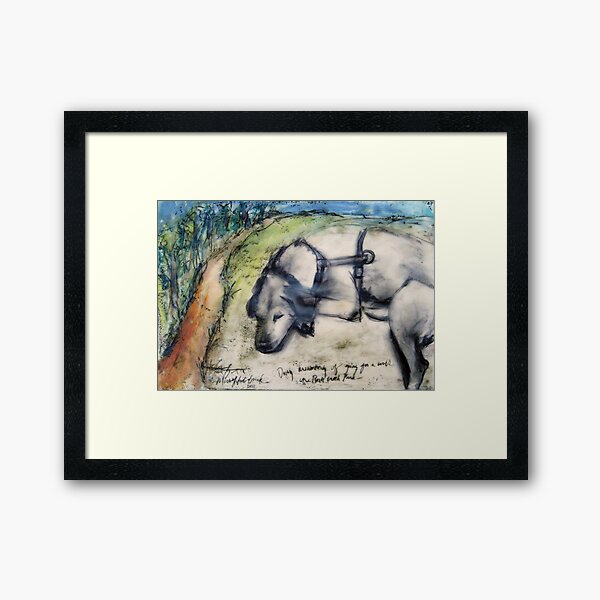 Daisy Dreaming Framed Art Print