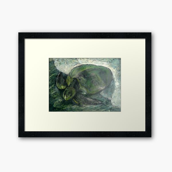 Sea Turtle II Framed Art Print