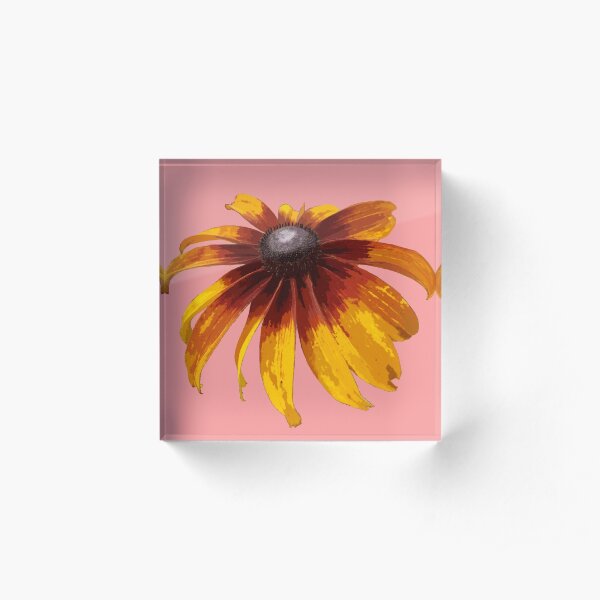 Black-Eyed Susan - Coral Acrylic Block
