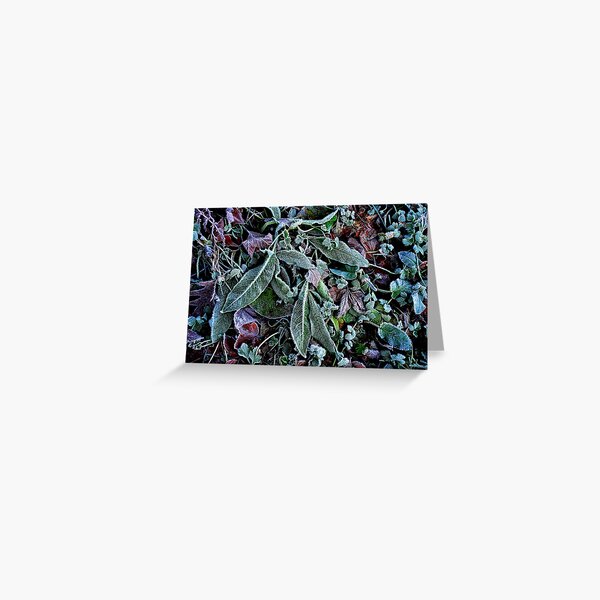 Frozen Leaves Greeting Card