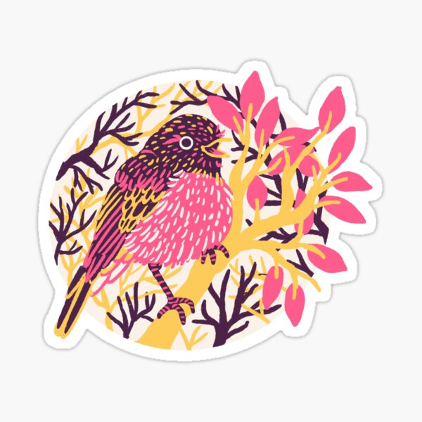Cute Robin Bird Art Sticker